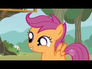 my little pony friendship is magic: season1 episode 18